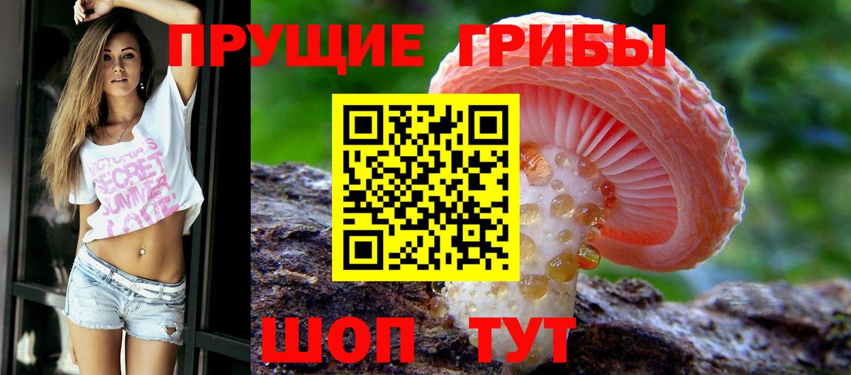 Псилоцибиновые грибы Magic Shrooms Новокубанск