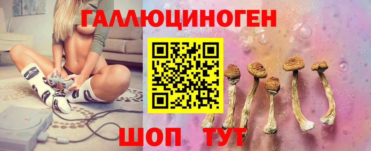 Новокубанск  Псилоцибиновые грибы GOLDEN TEACHER  цена наркотик  Вход с VPN 